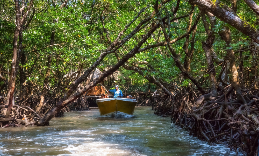 Hanoi 4 nights Vietanam